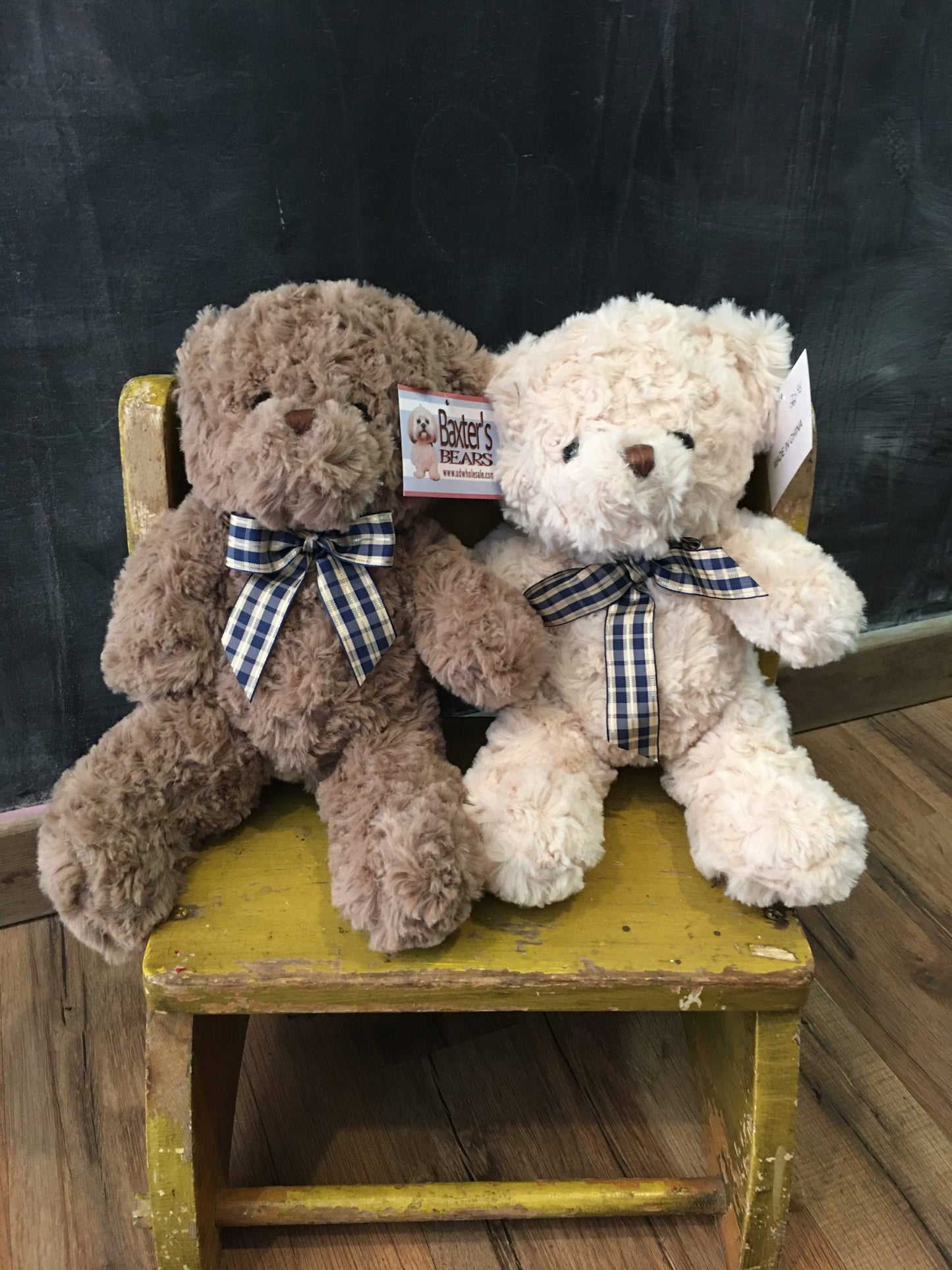 Baxterbear – Halstead Floral At The Plaza, Halstead KS