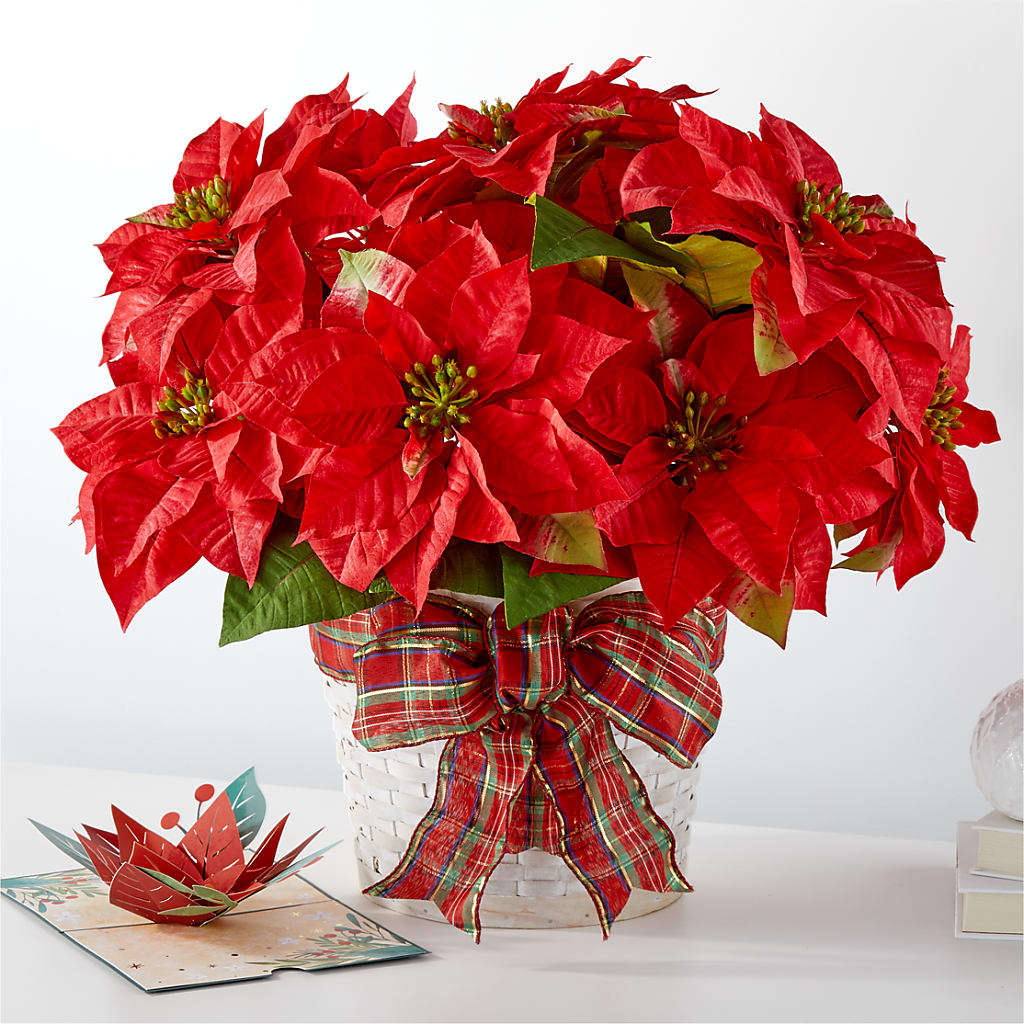 Happiest Holidays Poinsettia and Lovepop Card – Halstead Floral At The Plaza, Halstead KS