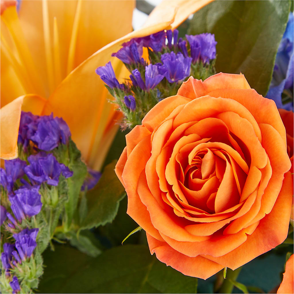 Radiant Citrus Box Bouquet – Halstead Floral At The Plaza, Halstead KS