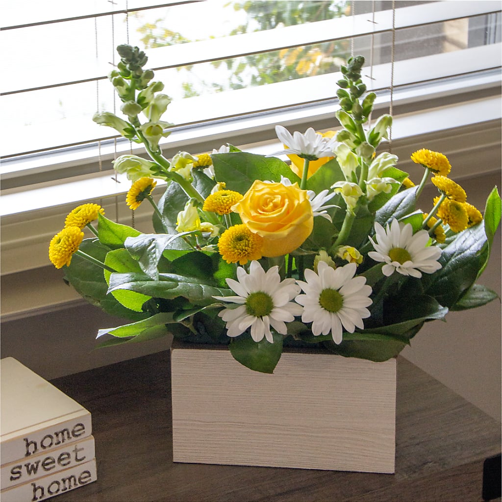 Sun Salutation Box Bouquet – Halstead Floral At The Plaza, Halstead KS