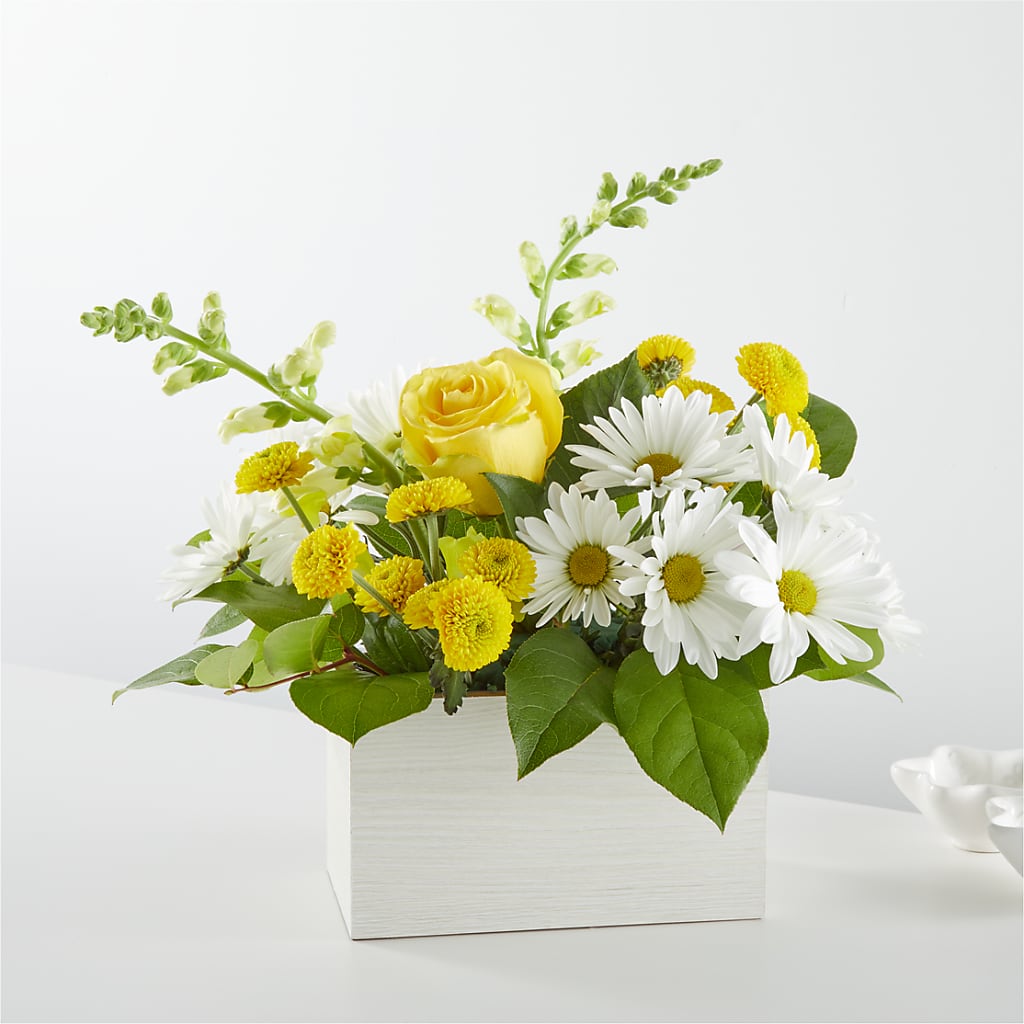 Sun Salutation Box Bouquet – Halstead Floral At The Plaza, Halstead KS