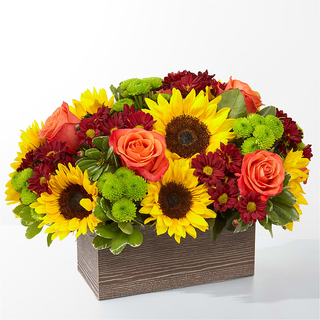 Happy Harvest Garden – Halstead Floral At The Plaza, Halstead KS