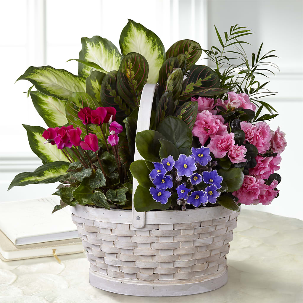 Peaceful Garden Planter – Halstead Floral At The Plaza, Halstead KS