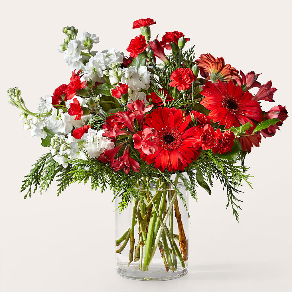 Holidaisy Bouquet – Halstead Floral At The Plaza, Halstead KS