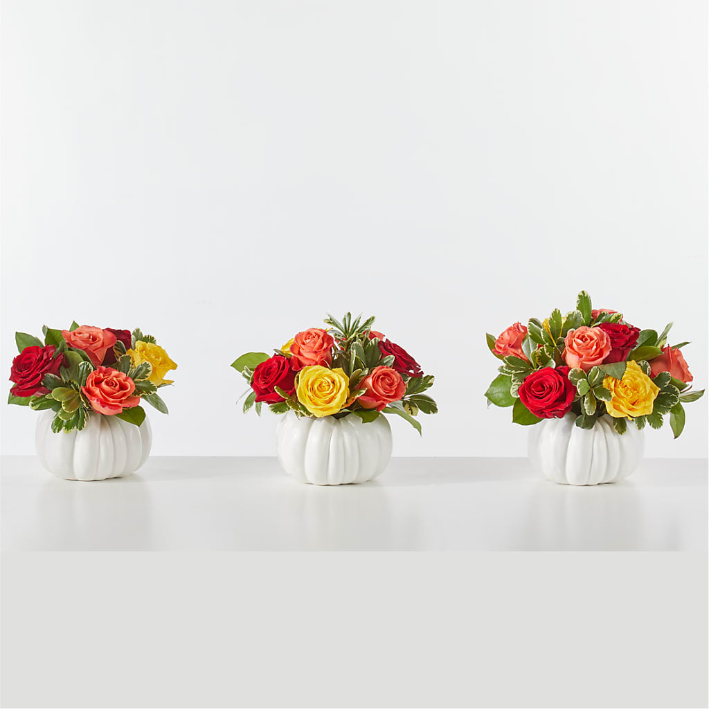 Gourd of Gratitude –  Halstead Floral At The Plaza, Halstead KS