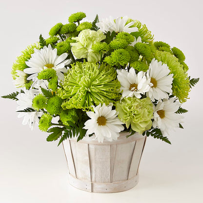 Lucky Charm Basket (Standard) –  Halstead Floral At The Plaza, Halstead KS