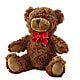 Adorable Plush Bear –  Halstead Floral At The Plaza, Halstead KS