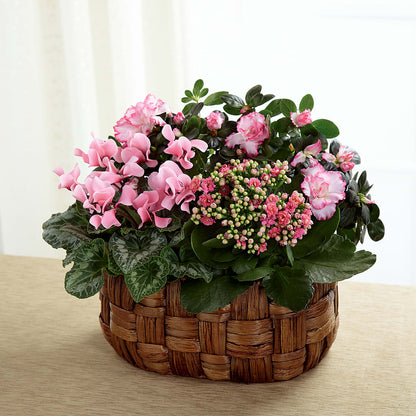 Pink Assortment –  Halstead Floral At The Plaza, Halstead KS