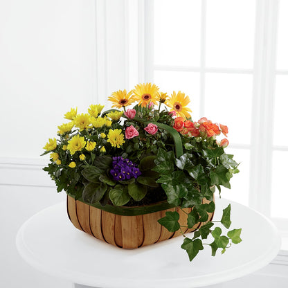 Gentle Blossoms Basket –  Halstead Floral At The Plaza, Halstead KS