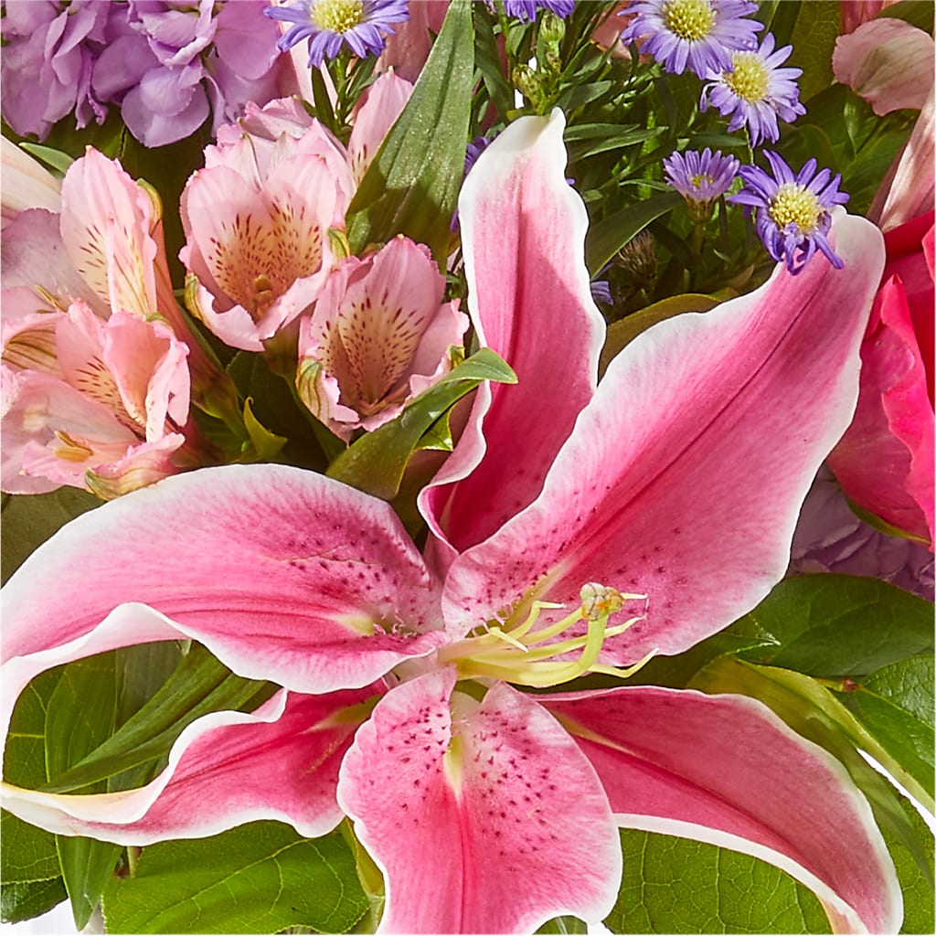 Written in the Stars Bouquet –  Halstead Floral At The Plaza, Halstead KS