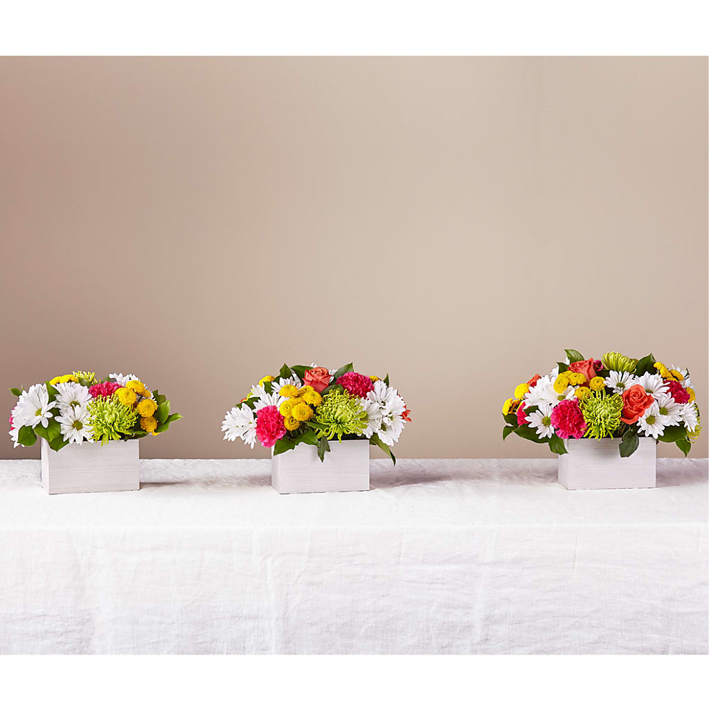 Sorbet Bouquet –  Halstead Floral At The Plaza, Halstead KS