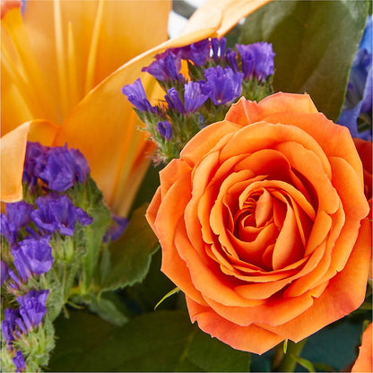 Radiant Citrus Box Bouquet –  Halstead Floral At The Plaza, Halstead KS