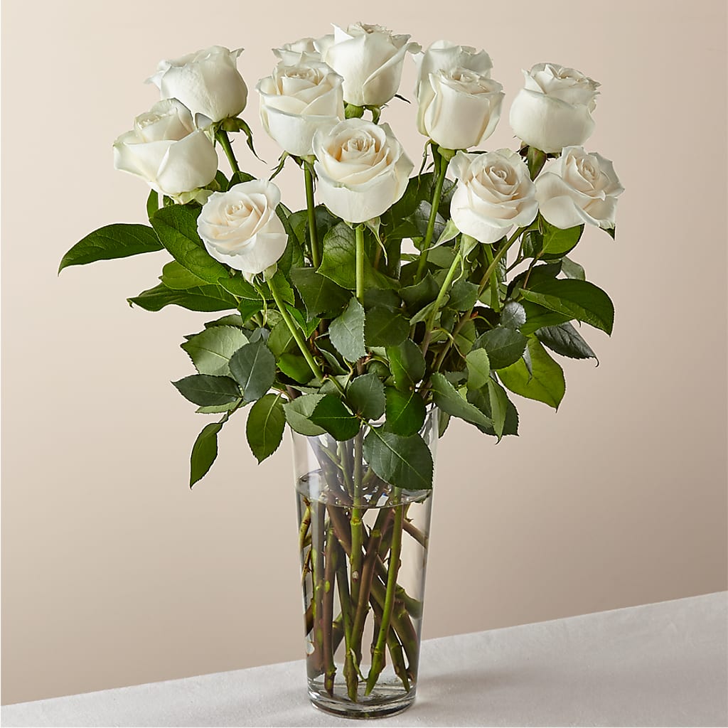 Long Stem White Rose Bouquet –  Halstead Floral At The Plaza, Halstead KS