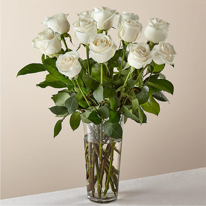 Long Stem White Rose Bouquet –  Halstead Floral At The Plaza, Halstead KS