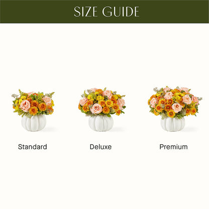 Peachy Pumpkin –  Halstead Floral At The Plaza, Halstead KS