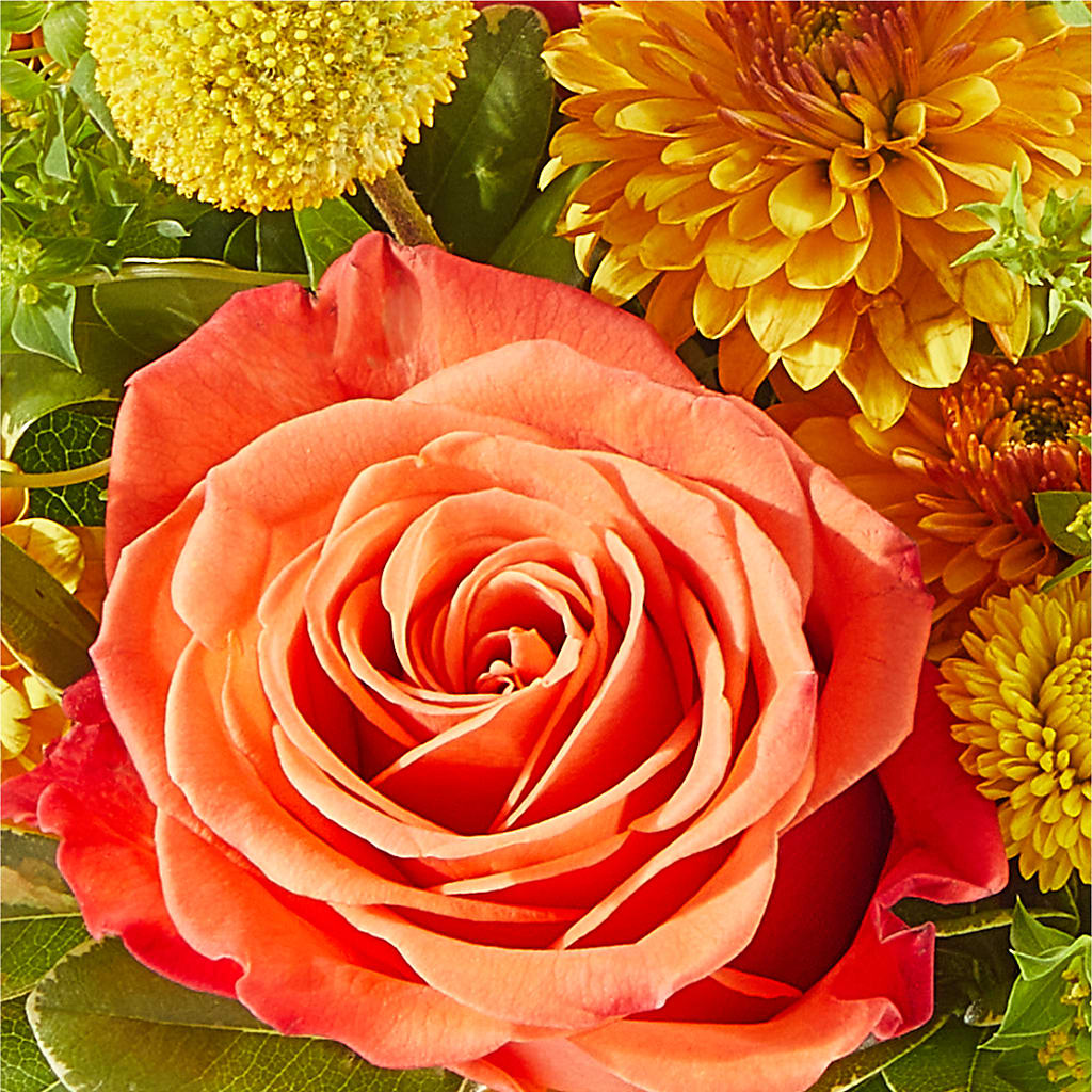 Gourdgeous Pumpkin –  Halstead Floral At The Plaza, Halstead KS