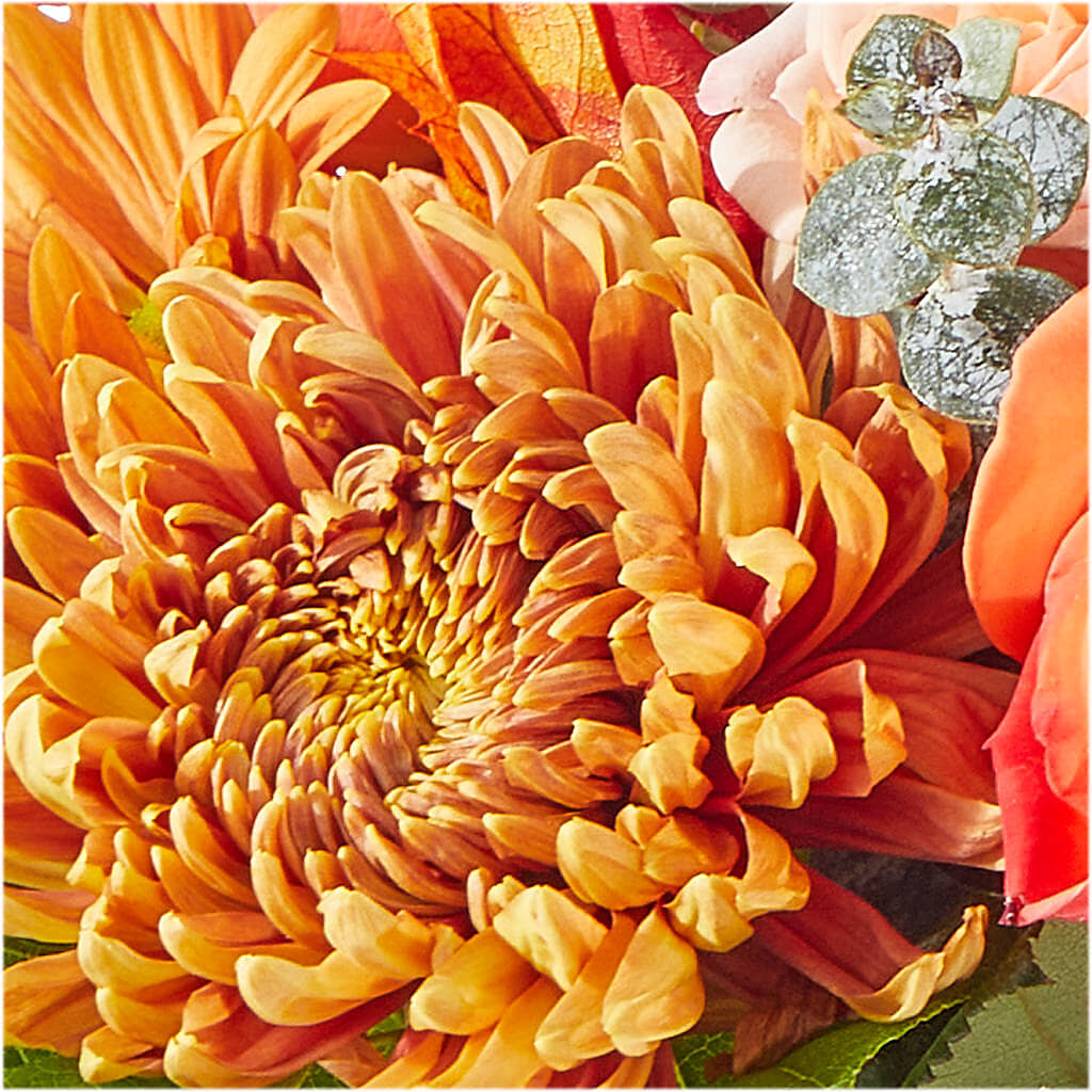 Scenic Route Bouquet –  Halstead Floral At The Plaza, Halstead KS