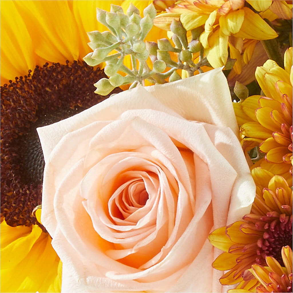 Pumpkin to Talk About Bouquet –  Halstead Floral At The Plaza, Halstead KS