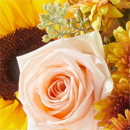 Pumpkin to Talk About Bouquet –  Halstead Floral At The Plaza, Halstead KS