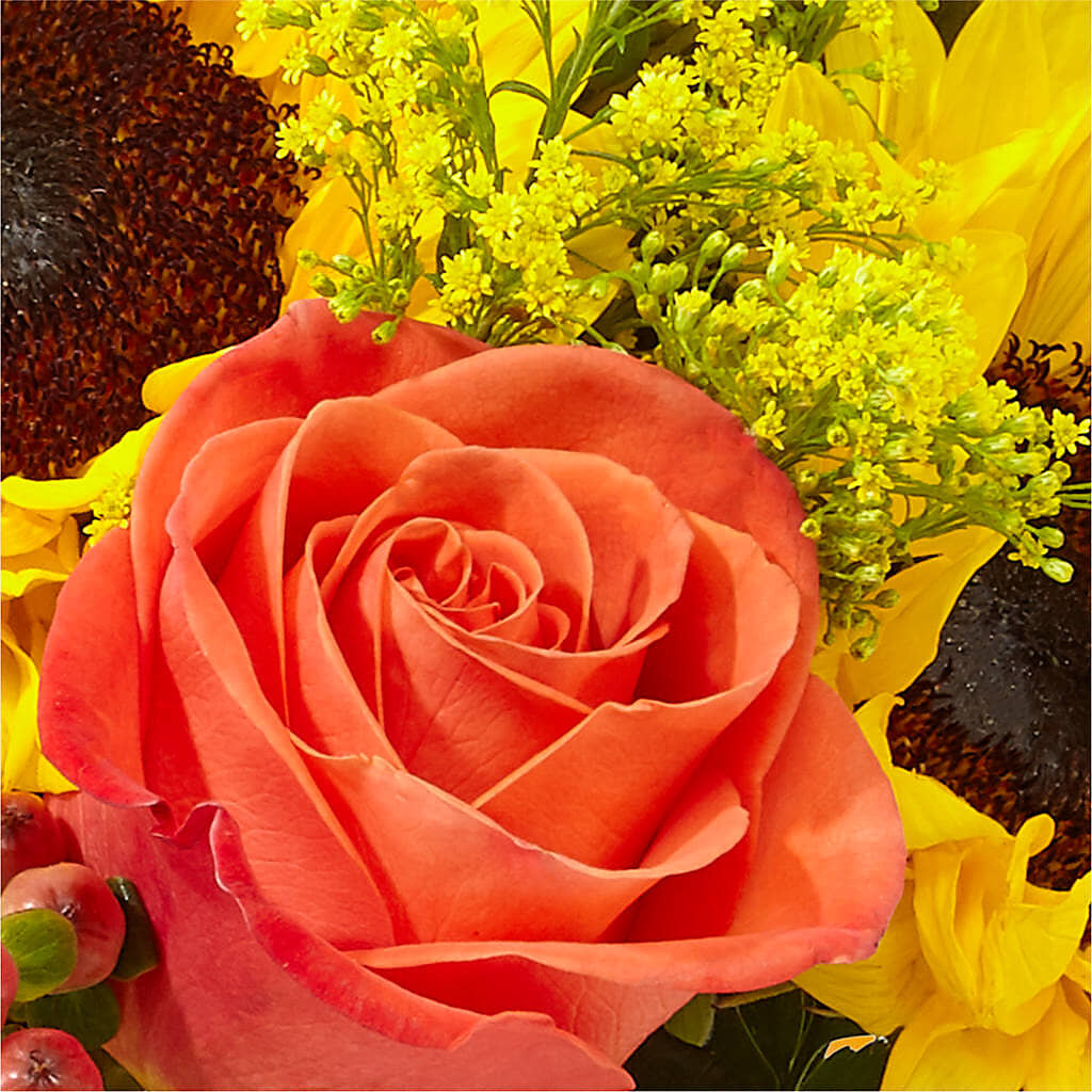 Pick of the Patch Pumpkin Bouquet –  Halstead Floral At The Plaza, Halstead KS