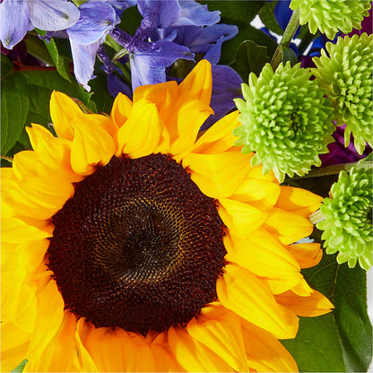Catching Rays Bouquet –  Halstead Floral At The Plaza, Halstead KS