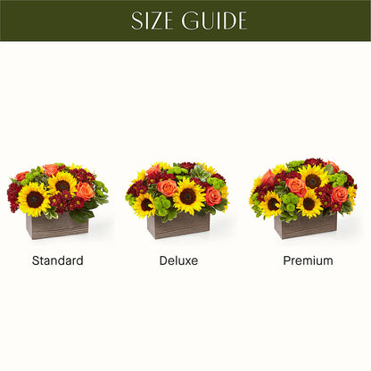 Happy Harvest Garden –  Halstead Floral At The Plaza, Halstead KS