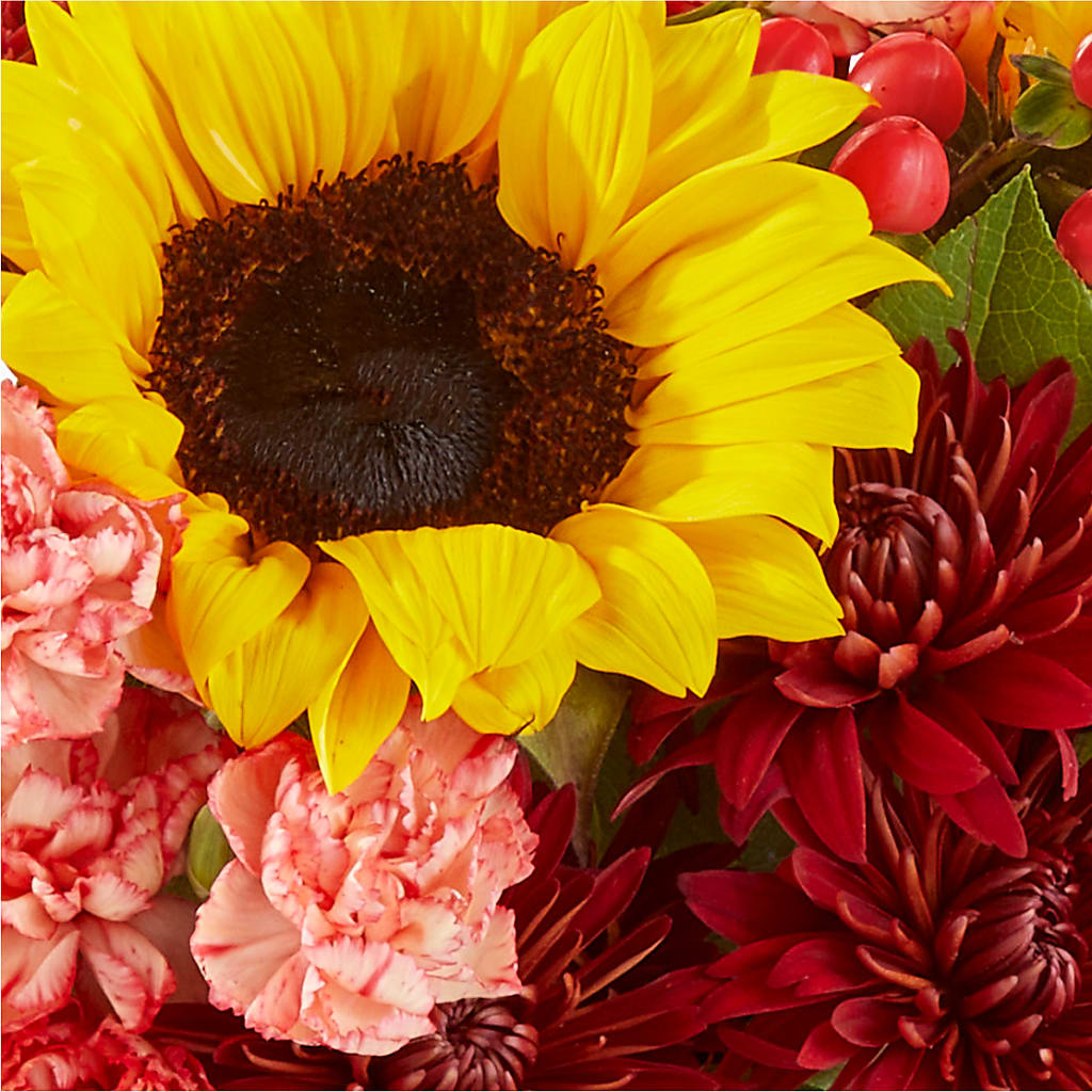 Fresh Cider Bouquet –  Halstead Floral At The Plaza, Halstead KS