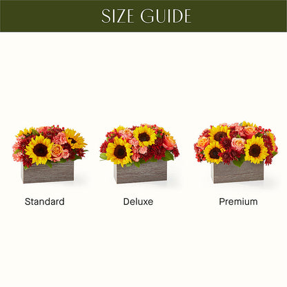 Fresh Cider Bouquet –  Halstead Floral At The Plaza, Halstead KS