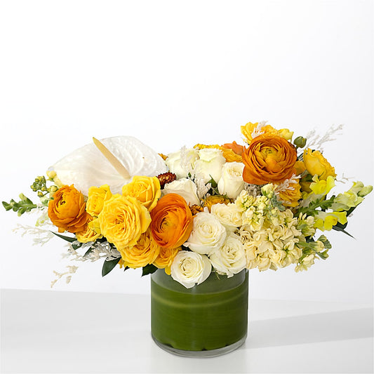 The Optimist –  Halstead Floral At The Plaza, Halstead KS