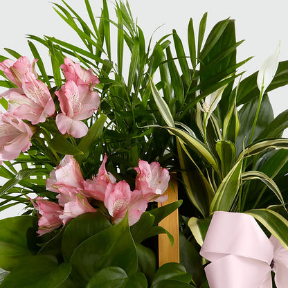 Living Spirit Dishgarden –  Halstead Floral At The Plaza, Halstead KS