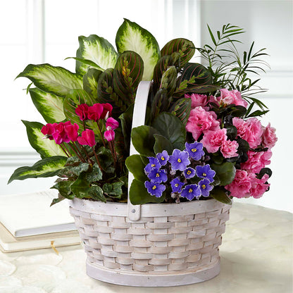 Peaceful Garden Planter –  Halstead Floral At The Plaza, Halstead KS