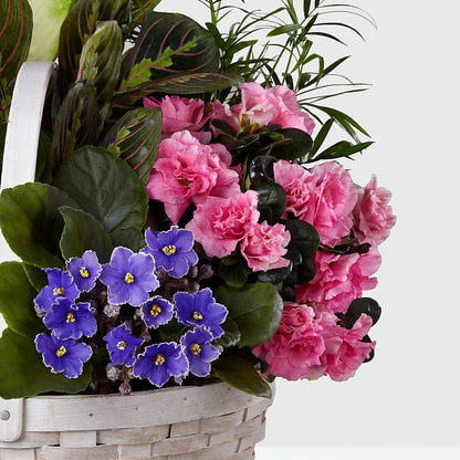 Peaceful Garden Planter –  Halstead Floral At The Plaza, Halstead KS