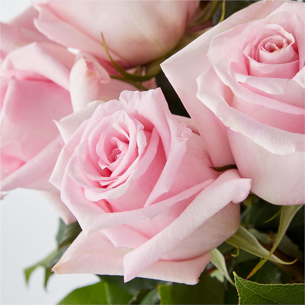 Picture Perfect Pink Rose Bouquet –  Halstead Floral At The Plaza, Halstead KS