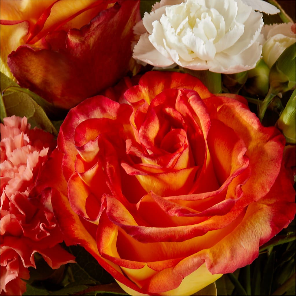 Apricot Glow Bouquet –  Halstead Floral At The Plaza, Halstead KS