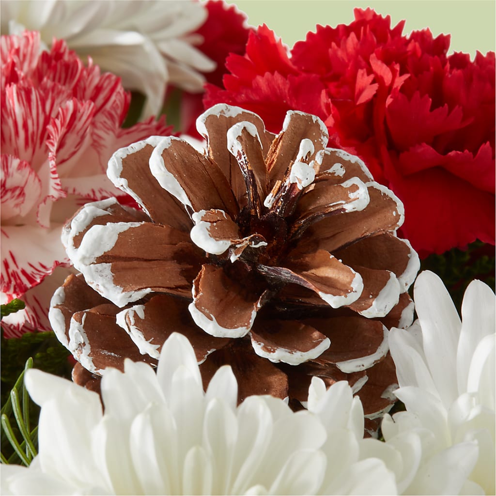 Candy Cane Lane Bouquet –  Halstead Floral At The Plaza, Halstead KS