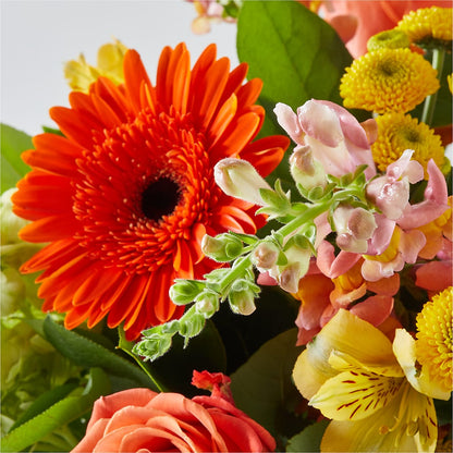 Autumn Sunshine Bouquet –  Halstead Floral At The Plaza, Halstead KS
