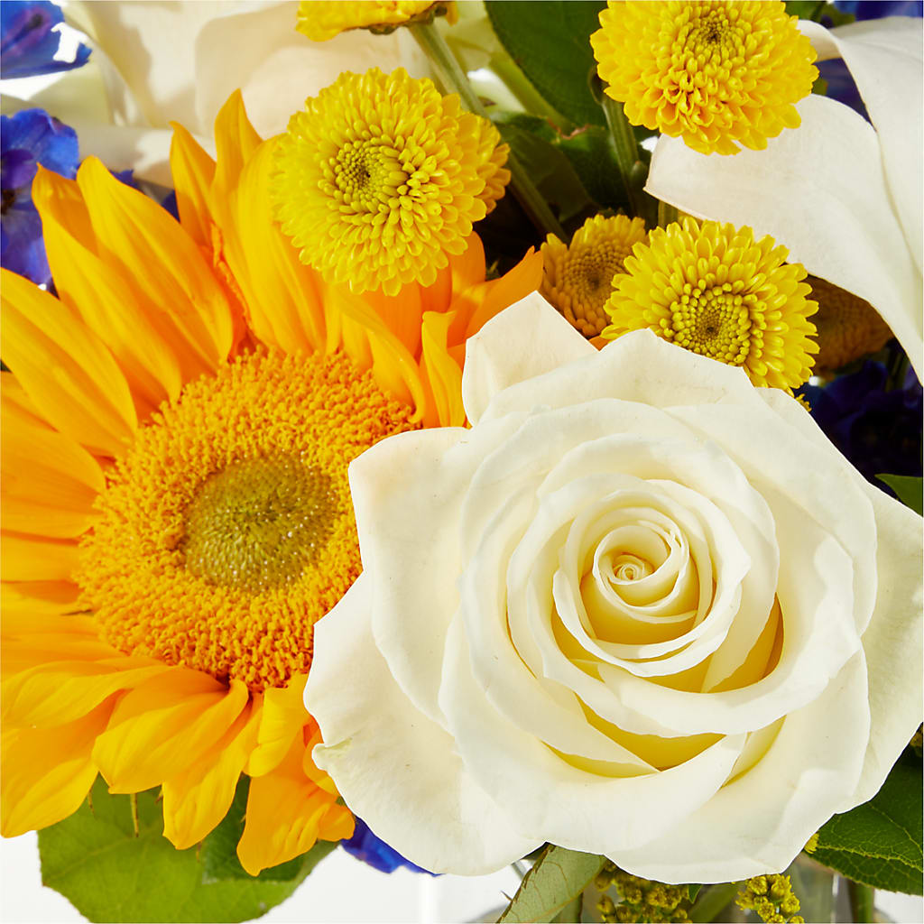 Stargazing Bouquet –  Halstead Floral At The Plaza, Halstead KS
