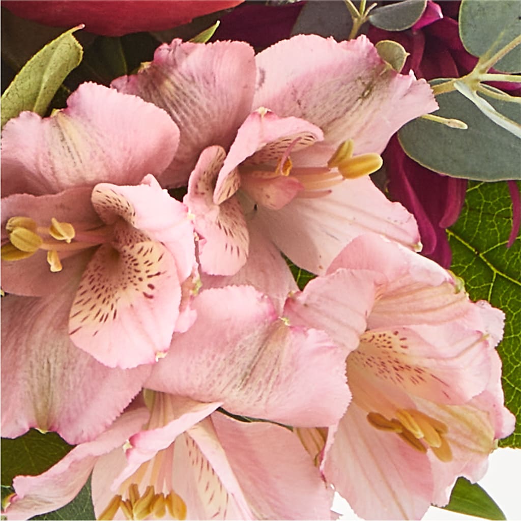 Berry Cobbler Bouquet –  Halstead Floral At The Plaza, Halstead KS