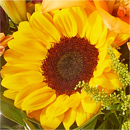 Seasons Change Bouquet –  Halstead Floral At The Plaza, Halstead KS