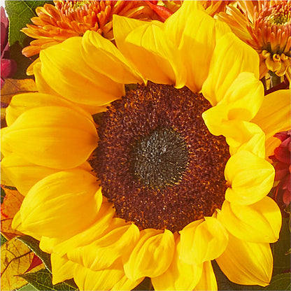 Sunny Side Bouquet –  Halstead Floral At The Plaza, Halstead KS