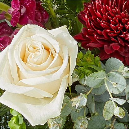 Cranberry Fizz Bouquet –  Halstead Floral At The Plaza, Halstead KS
