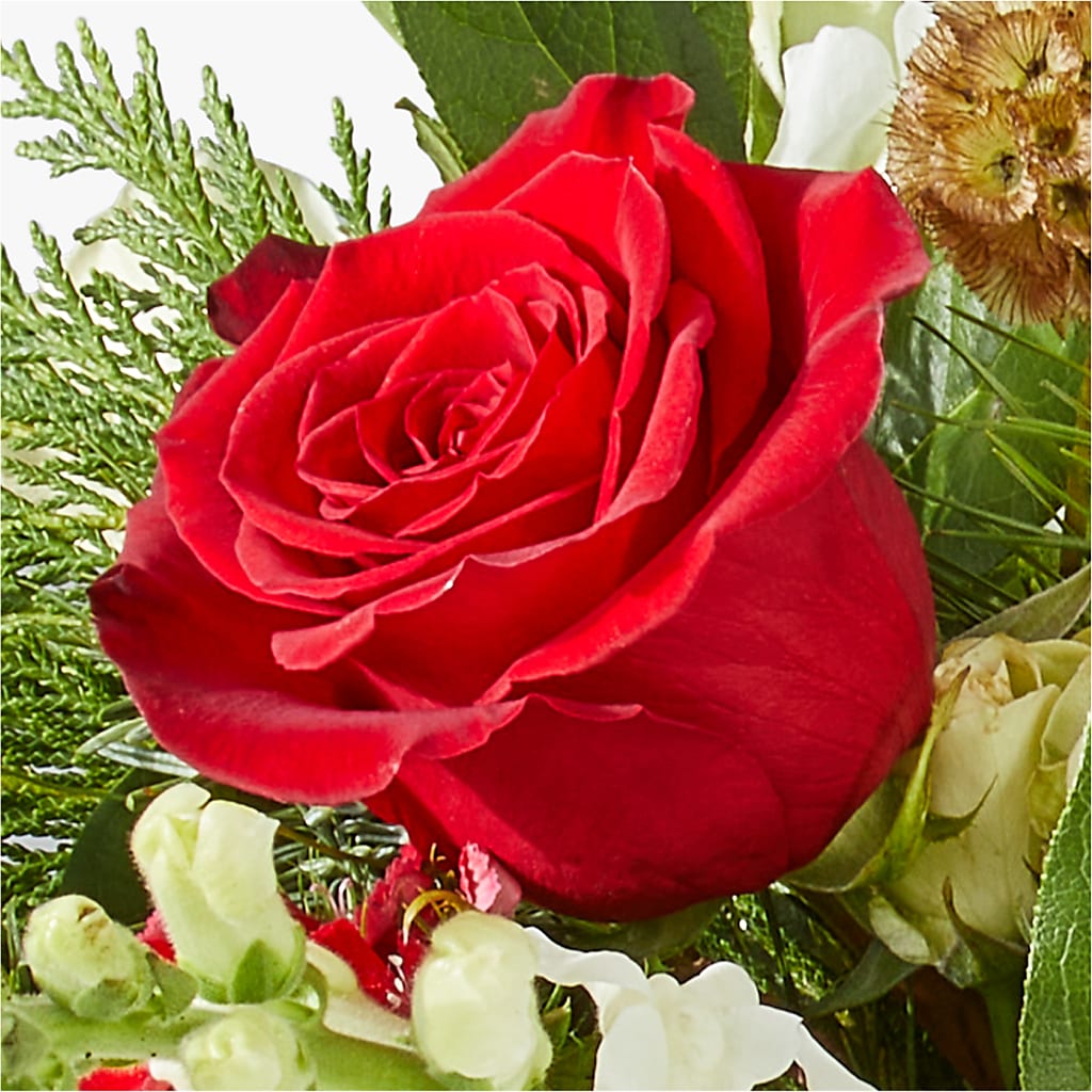 Deck the Halls Bouquet –  Halstead Floral At The Plaza, Halstead KS