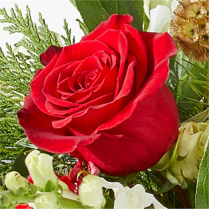 Deck the Halls Bouquet –  Halstead Floral At The Plaza, Halstead KS