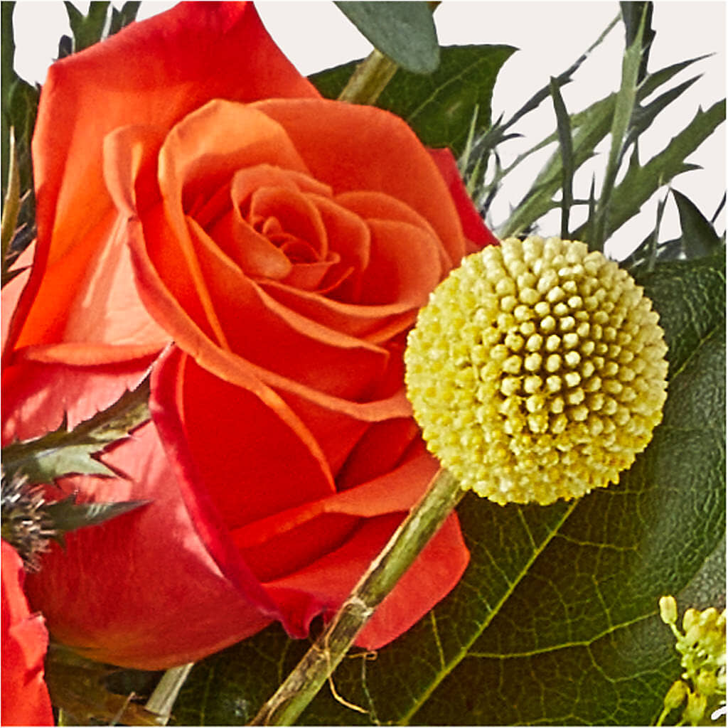 Disco Bouquet –  Halstead Floral At The Plaza, Halstead KS