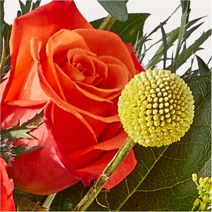 Disco Bouquet –  Halstead Floral At The Plaza, Halstead KS