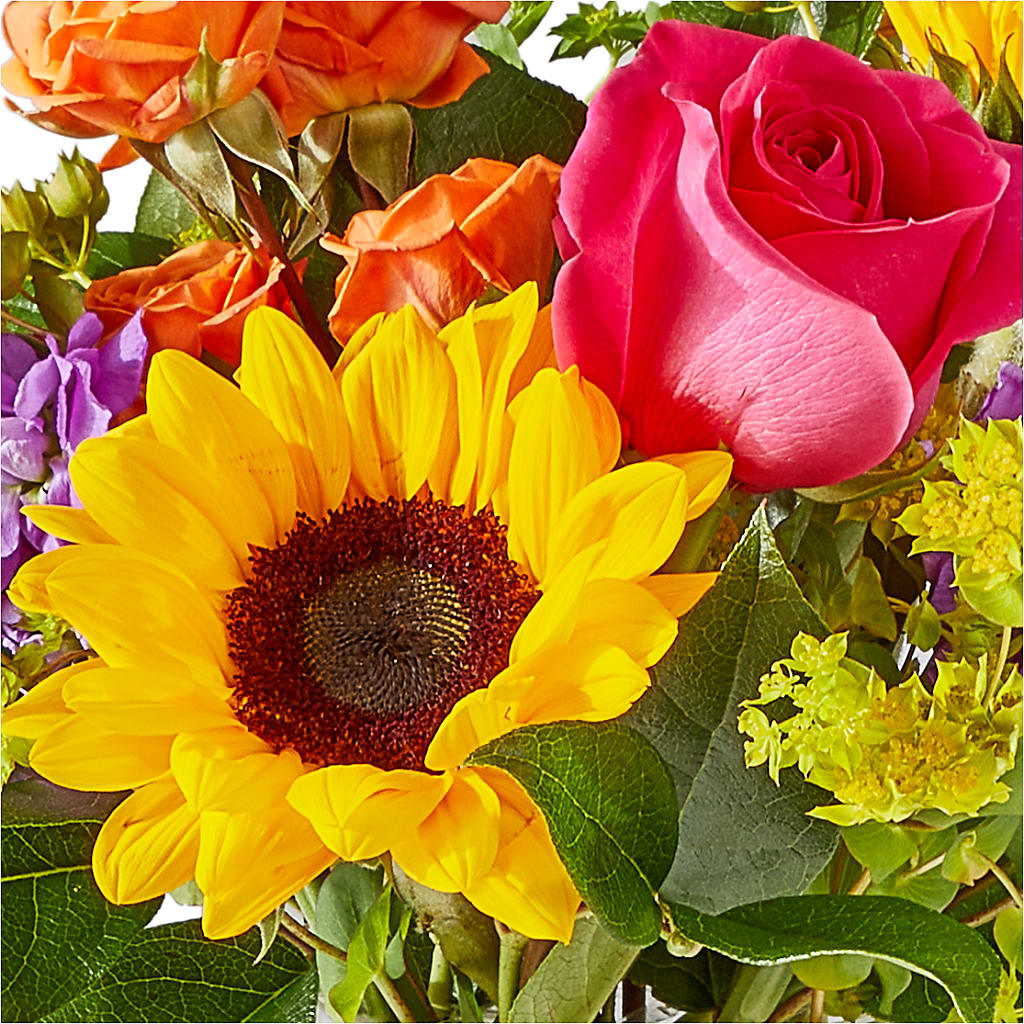 Vibrant Greetings Bouquet –  Halstead Floral At The Plaza, Halstead KS