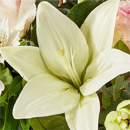 Ballet Slippers Bouquet –  Halstead Floral At The Plaza, Halstead KS