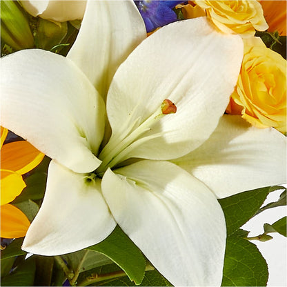 Wonderfully Sunny Bouquet –  Halstead Floral At The Plaza, Halstead KS