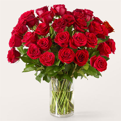 The One Red Rose Bouquet –  Halstead Floral At The Plaza, Halstead KS