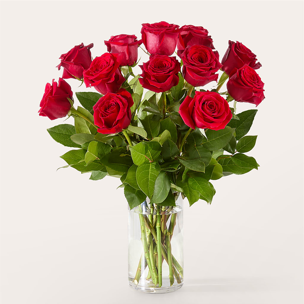 The One Red Rose Bouquet –  Halstead Floral At The Plaza, Halstead KS